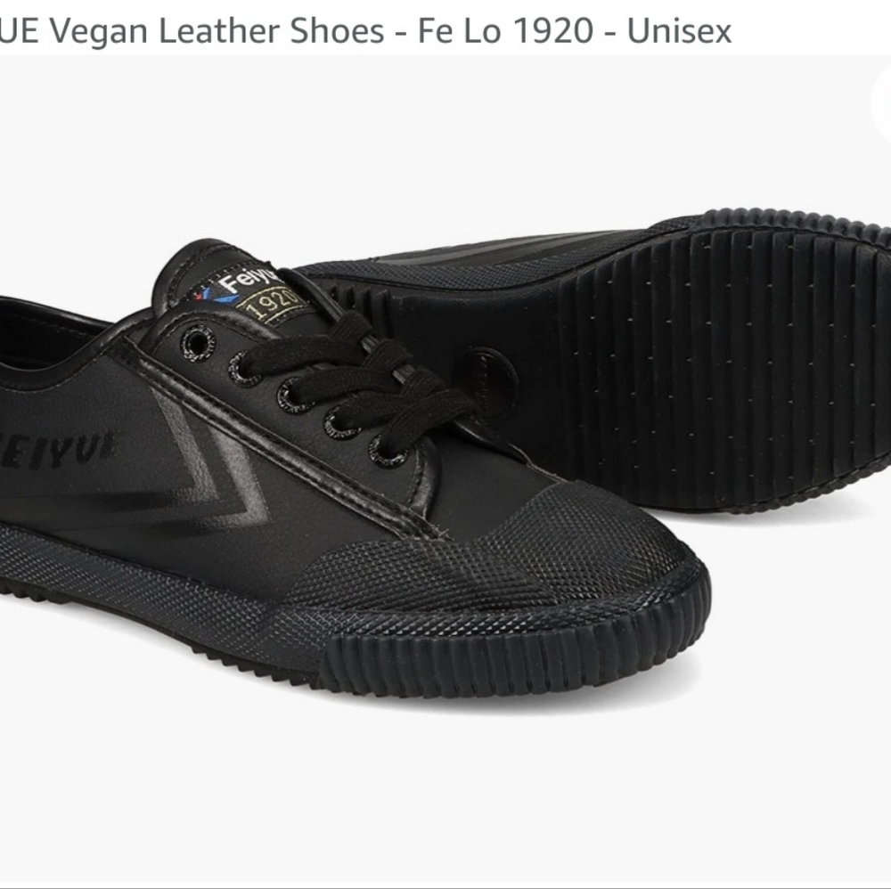 Feiyue Fe Lo 1920 Men's 13